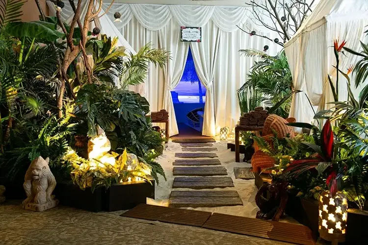 Free footbath and esthetic fish