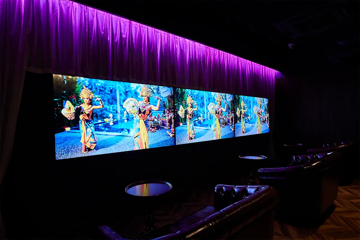 大画面バリ島シアター